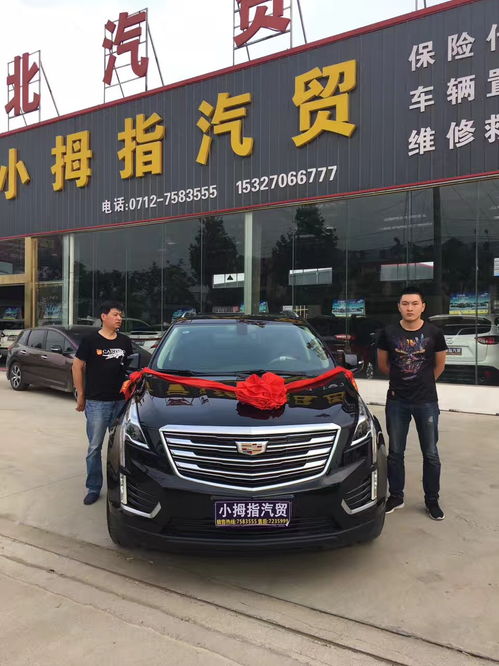 大悟小拇指汽貿(mào) 專(zhuān)業(yè)汽車(chē)信息咨詢(xún)服務(wù)指南